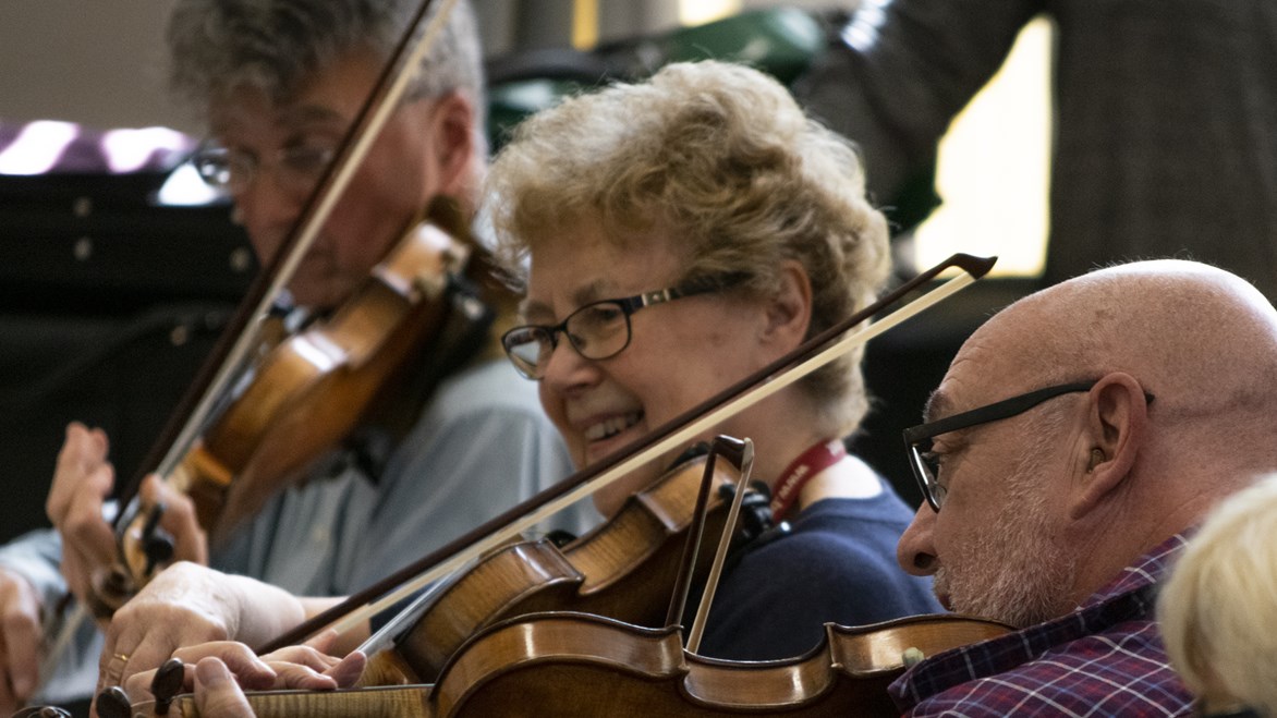 undefinedChamber Orchestra course