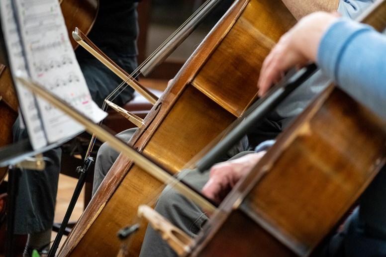 undefinedTedesca String Orchestra